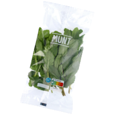 Munt